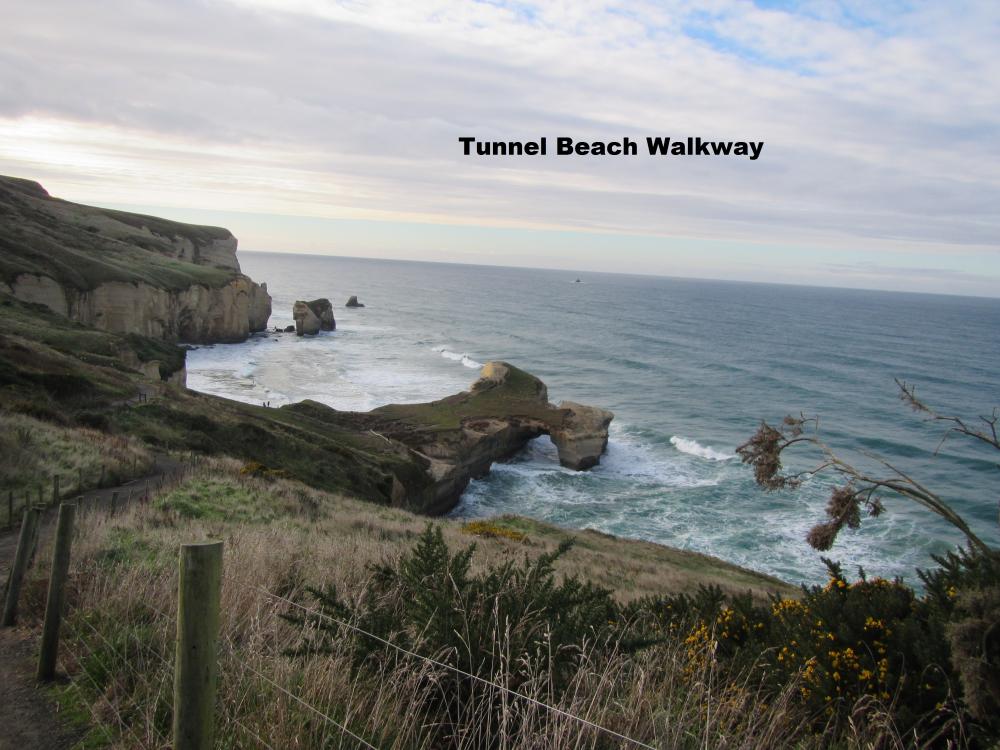 Tunnel Beach Trail